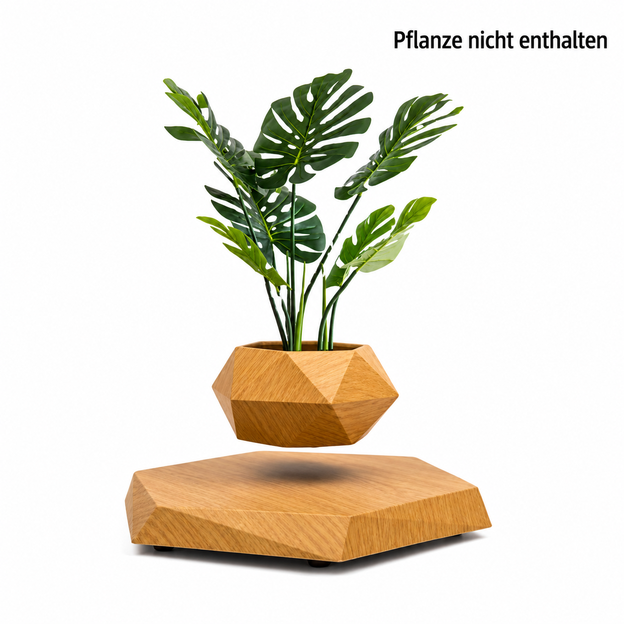 Moderne Schwebende Vase