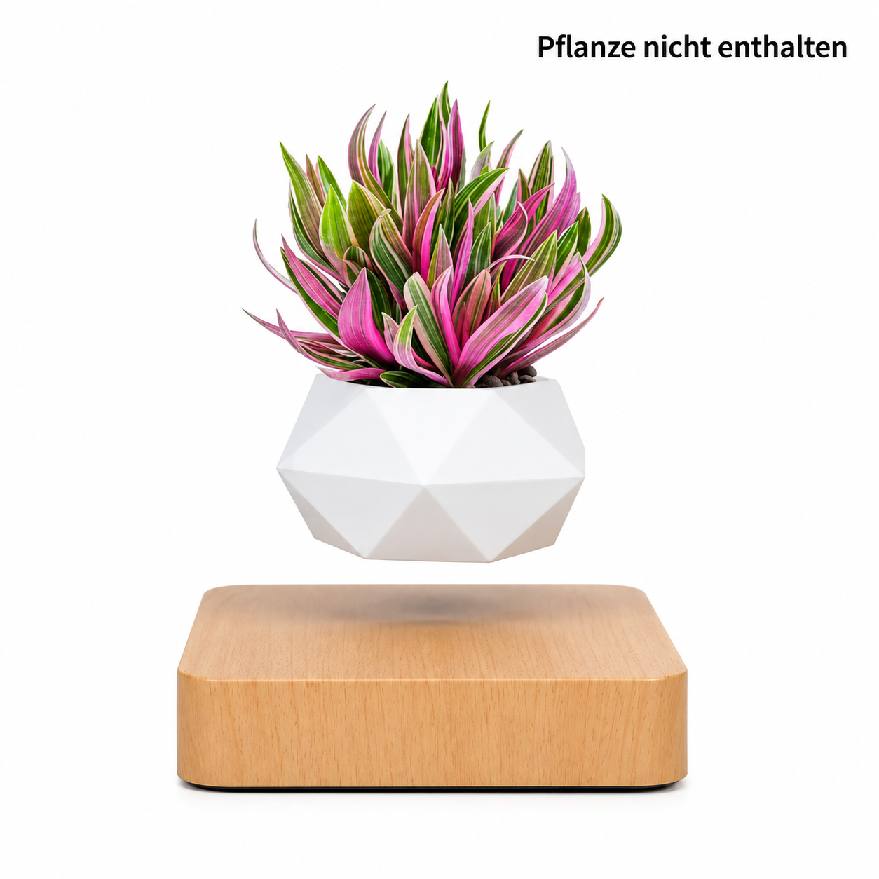 Moderne Schwebende Vase