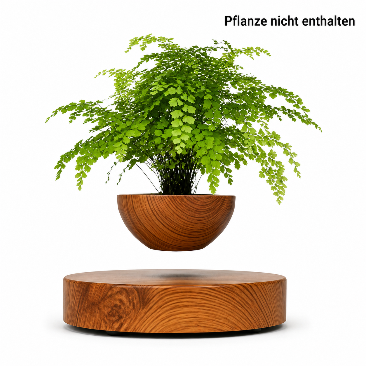 Moderne Schwebende Vase
