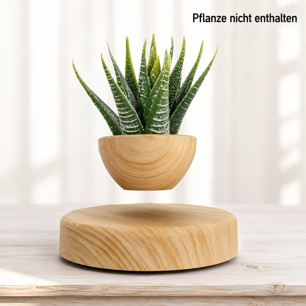 Moderne Schwebende Vase