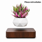 Moderne Schwebende Vase