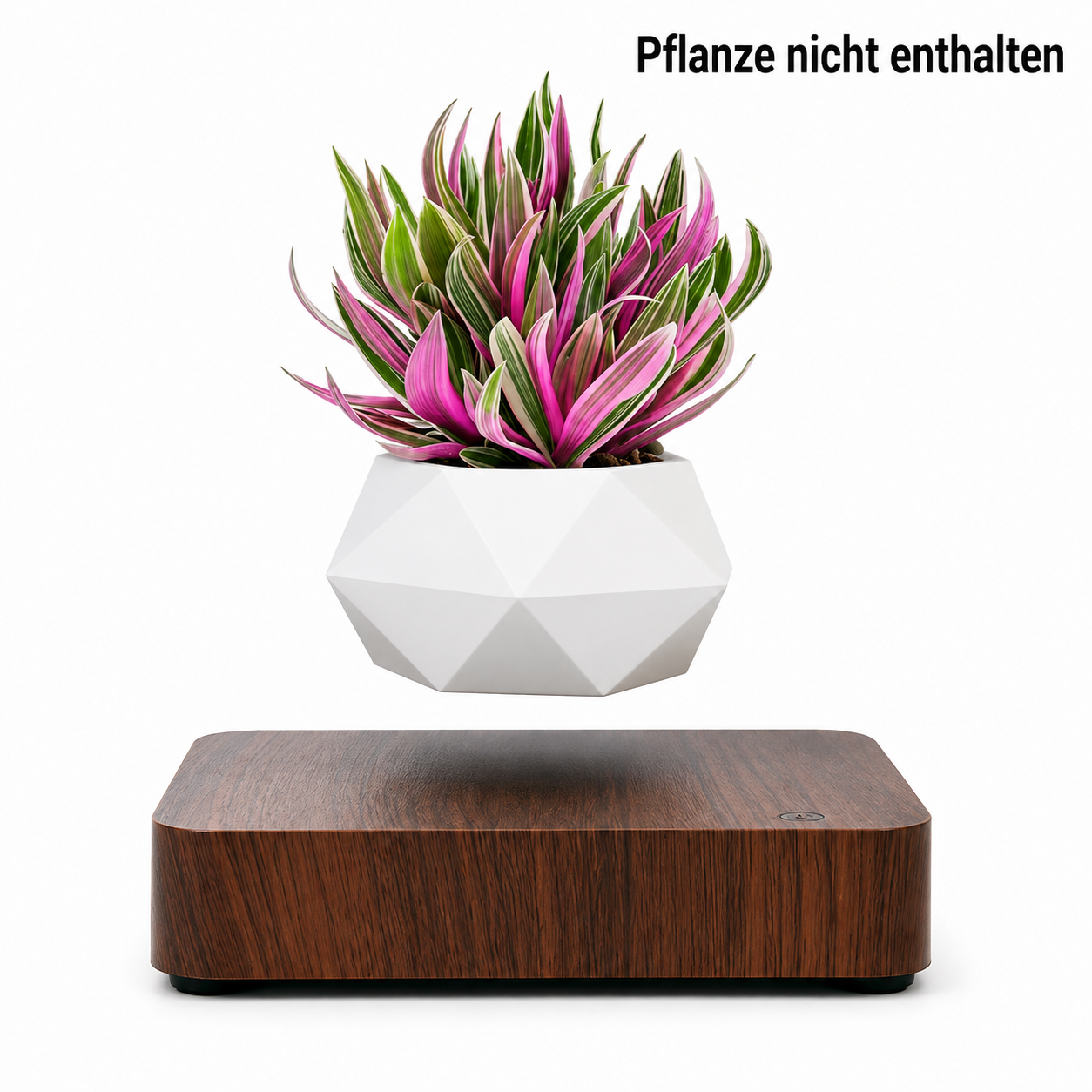 Moderne Schwebende Vase